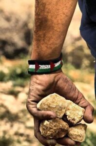 Sonra Filistinli çocuk israile doğru
baktı, soğuktu israilde hava…!!!