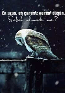“En uzun, en çaresiz geceni düşün,
sabah olmadı mı?”