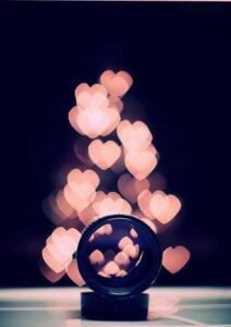 “ Bütün gece ağlamaktan helâk olup…”

– Elif Şafak