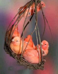 Başkaları için duyduğun kaygı,
kendin için duyduğun kaygıların önüne
geçtiği  zaman…!