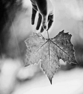 Allah'ım hiç kimseyi Yanlışı savunacak kadar “ c a h i l ”

Doğruyu inkar edecek kadar “ n a n k ö r ” etmesin. . .