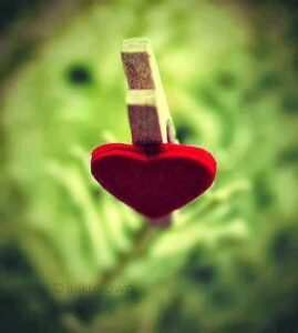 Gülüşünü seversin, sesini seversin,
sohbetini seversin..