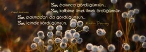 Sen, bakınca gördüğümsün…
Sen, kalbime ilmek ilmek ördüğümsün.
Kadim Dolunay