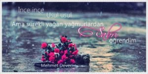 Bana hep diyorlar, nesini sevdin ki?
Osman Nuri Ünsal