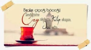 Bırakın çiçeği, bocegi..
Sevdiğinize çay söyleyin ,
Kitap okuyun ,
Dua edin…