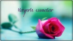 Mısır'ın kaderi hiç değişmiyor.Zindan Yusuf'larla dolu..