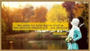 Ben nankör bir kulun değilim Allah'ım.
Ertuğrul Bayam