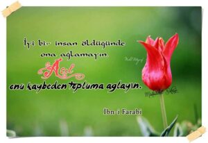 "Kalbimizdeki hüzünlerimize,
Baharlarını yaşat Allah'ım…
Amin"