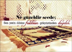 YA RABBİ,
Mal verdiğinde, Saadet de ver;
Kuvvet verdiğinde, Akıl da ver. .