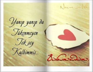 Yanıp yanıp da tükenmeyen tek şey kalbimmiş.

– Bilemedim .
