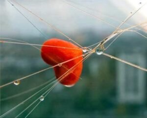 "Yüreğinizi göremeyenlere en güzel yarınlarınızı
harcatmayın.."