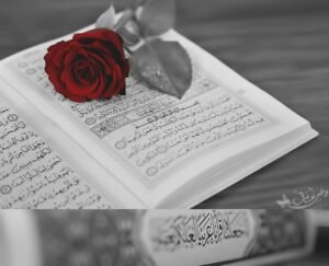 Salih kimselerle sohbet edildiği takdirde, Günahlara perde çekilir