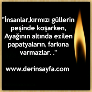 “İnsanlar, kırmızı güllerin peşinde koşarken, ayakları altında ezilen papatyaların, farkına bile varmazlar..”