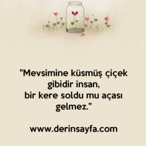 "Mevsimine küsmüş çiçek gibidir insan,
bir kere soldu mu açası gelmez."