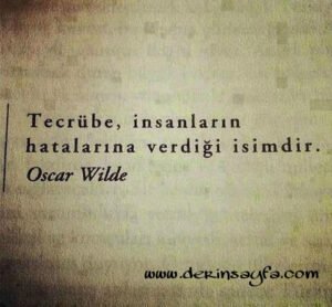 Tecrübe, insanların hatalarına verdiği isimdir…