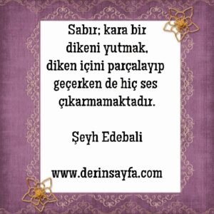 Sabır; kara bir dikeni yutmak,
diken içini parçalayıp geçerken de..
Şeyh Edebali.