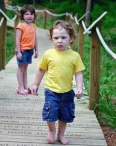 Şaire sorarlar: Giden midir terkeden, yoksa kalan mı? Şair derki; Kalan gidenin gitmesine ses çıkarmıyorsa, çoktan terketmiştir.