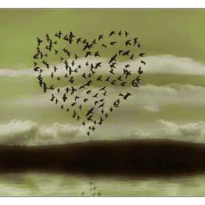 “Bin kapıdan, yüz bin kaleden içeri girebilirsin de;  küçücük bir gönülden içeri giremezsin… ”  Hz.Ali (r.a)