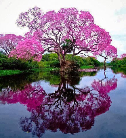 İyi ki demedim keşke de demedim çünkü biliyorum ki bunlar şeytanın sözü