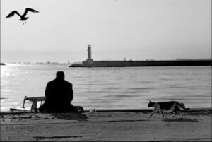 Mola İstiyorum Hayat…….! Yoruldum Tükendim..