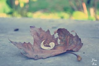 Rabbin ile aranda sen kendin varsın.  Kendini aradan çıkar.  İşte o zaman O’nu görürsün!  ~  Abdülkadir Geylani (k.s.)