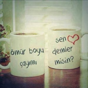 Çay dediğin nedirki gülüm sen iste ben
sana közde kahve bile yaparım. .