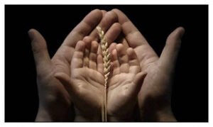 Yaşamak su misali akıp giderken ,  Bize kalan bir vefa , bir selâm. Bir de habersiz yapılan dûadır…