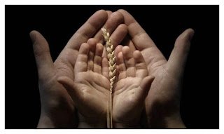 Yaşamak su misali akıp giderken ,  Bize kalan bir vefa , bir selâm. Bir de habersiz yapılan dûadır…