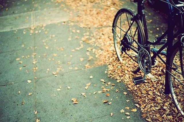 Sevdiklerinizi ziyaret etmek için,
mezarlığa gitmeniz gerekmiyorsa;
Oturun Bir Daha Şükredin…