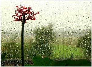 En büyük huzur, huzurunu bozan insanlardan uzak durmaktır.  T.S. Eliot