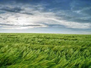 Ölen bedendir, RUH DEĞİL…Sönen külllerdir, ATEŞ DEĞİL .. Gülümseyen gözlerdir, GAMZELER DEĞİL.. Sevilen yürektir, BEDEN DEĞİL