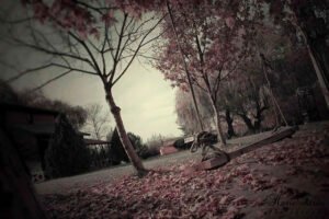 Bazen insan bir ayakkabı çivisi gibi batar kendine..
Edip cansever