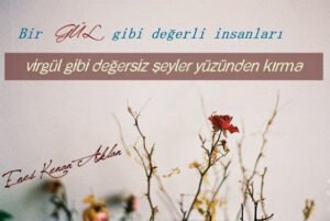 Bir GÜL gibi değerli insanları,
Virgül gibi değersiz şeyler yüzünden kırma.
Enes Kenan Aklan