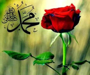 " Sen mi gül kokardın,
Yoksa gül mü sen kokardı"..!
Ya RASULULLAH (s.a.v)❤