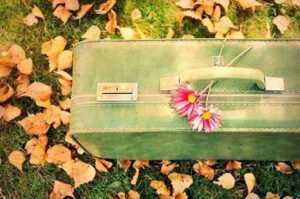 Kolay mıdır bir anda vazgeçip gitmek..   Özdemir Asaf