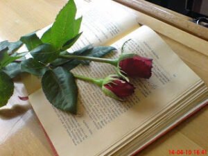 Ninenin Ölmüş Eşine Mektubu… – kıssadan hisse