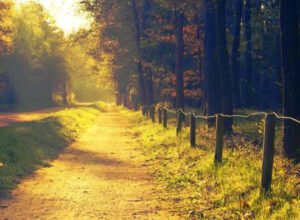 "Hesap ettim cümle dünya malını Neticesi bir top beze
dayandı."