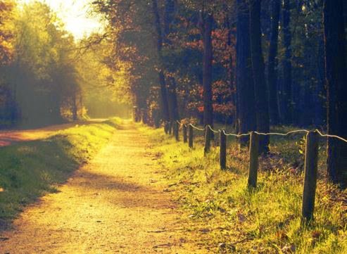 "Hesap ettim cümle dünya malını Neticesi bir top beze
dayandı."
