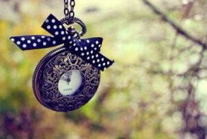 Bilincindeyim doğan ayın, eriyen karın, akan suyun, ve usul
usul tükenen zamanın…
Erdem Beyazıt