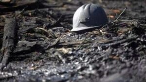 Biz kara elması hep kömür zannederdik.
Öğretmedi hiç bir coğrafya dersi bize..
'
Osman Nuri Ünsal