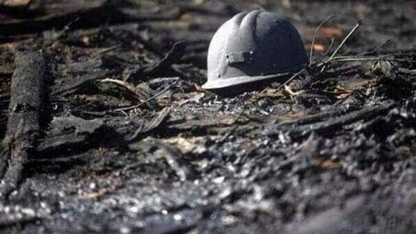 Biz kara elması hep kömür zannederdik.
Öğretmedi hiç bir coğrafya dersi bize..
'
Osman Nuri Ünsal