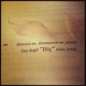 " Dönsen ne dönmesen ne şimdi! Geç değil "HİÇ" oldu artık!"