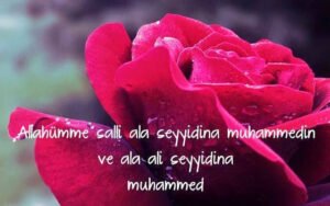 Salâvatsız yürekte gül açmaz kurbanım..
Zikrin çek kalbinde güller açsın kurbanım.