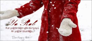 Ya Rab!
Kar yağdırdığın gibi dünyaya,
Ar yağdır insanlığa…
Enes Kenan Aklan