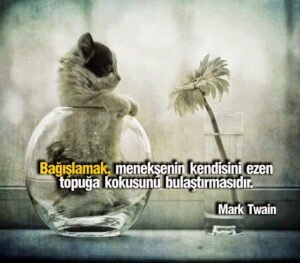 " Bağışlamak, menekşenin kendisini ezen topuğa kokusunu
bulaştırmasıdır."
– Mark Twain