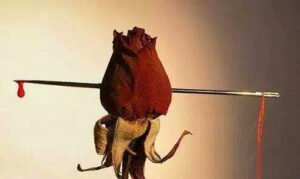 Elektrik kesilince " acaba sırf bizim mi kesildi " diye camdan
bakanların şaşkınlığı gibiydi kırılmışlığım…
"
|