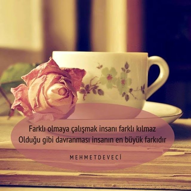 Farklı olmaya çalışmak insanı farklı kılmaz..
Mehmet Deveci