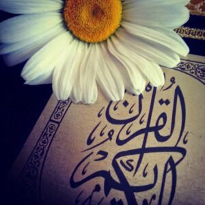 "Biz ASR suresine iman ettik…
Biliyoruz ki imtihan kolay kolay bırakmaz yakamızı.."