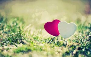 Sadece ”sevilmek” harekete geçirir donmakta olan bir kalbi