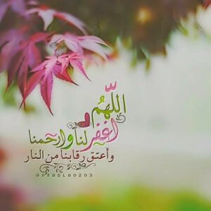 Rabbim! Senin sevmediğin ne varsa onlara gözlerimi kör,
kulağımı sağır, dilimi lâl eyle…
Enes Kenan Aklan